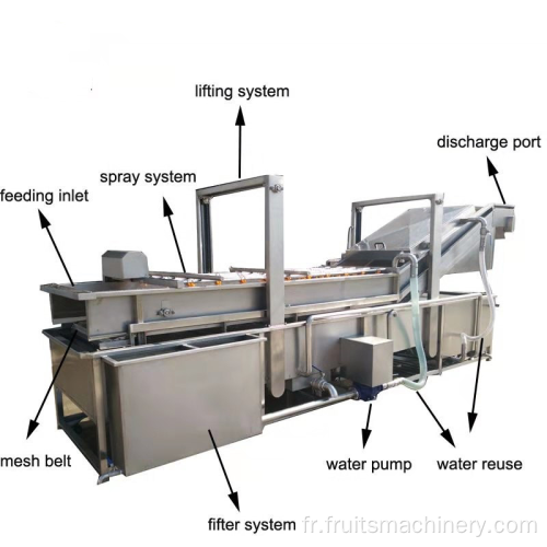 Machine de lavage de nettoyage de date pour la ligne de traitement des dattes